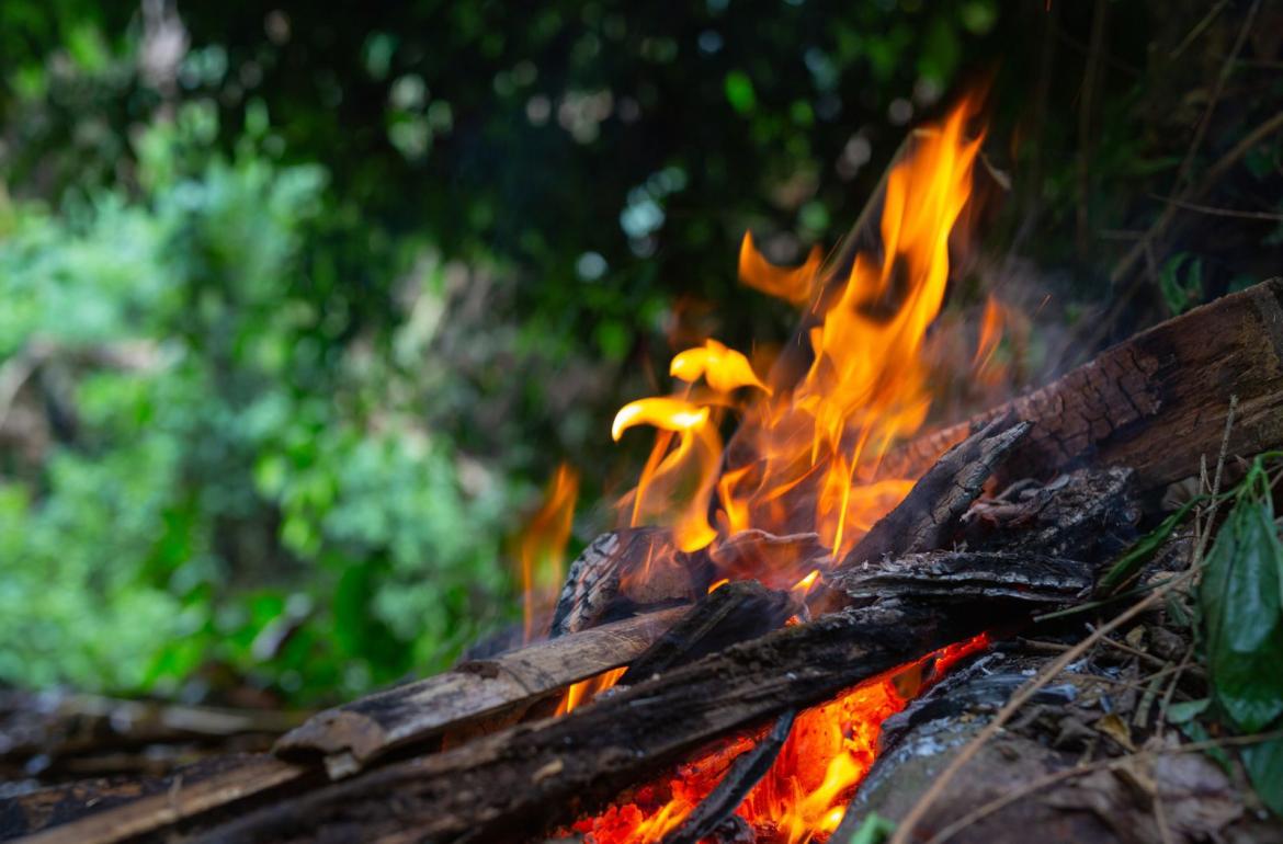 foc