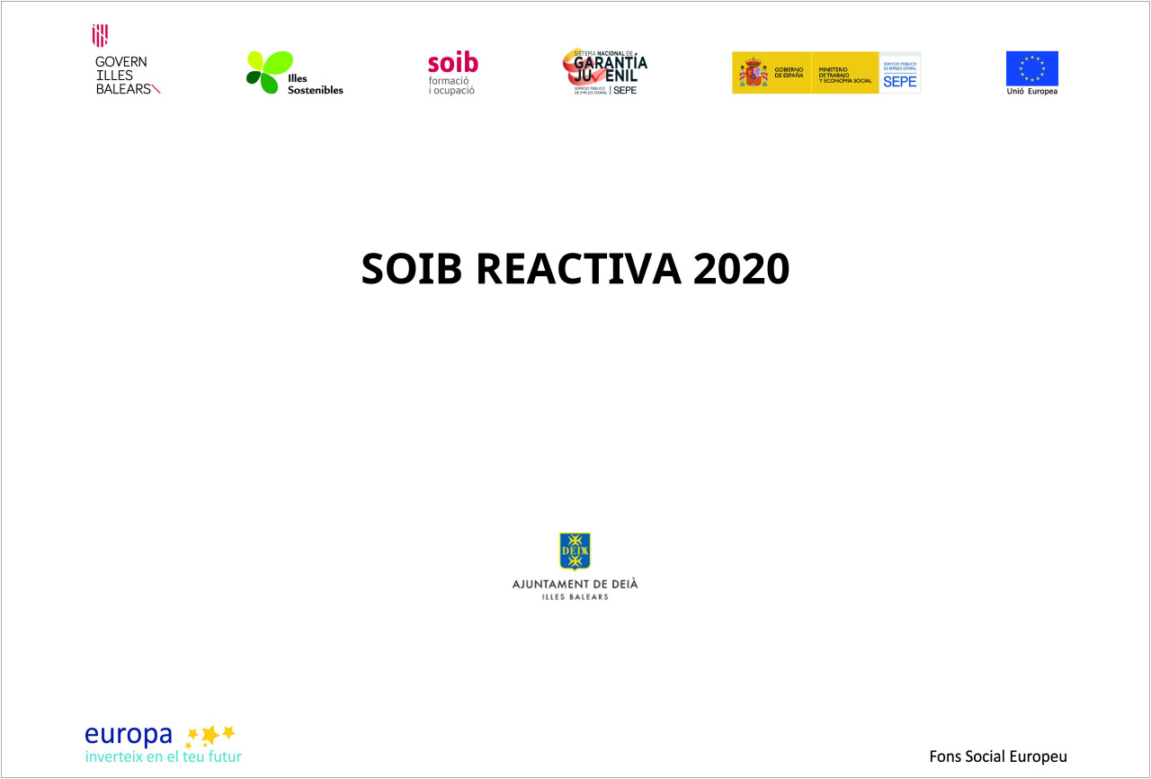 SOIB Reactiva