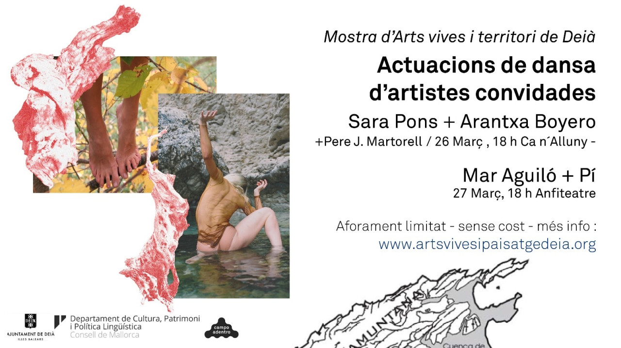 Actuacions de dansa d'artistes convidades