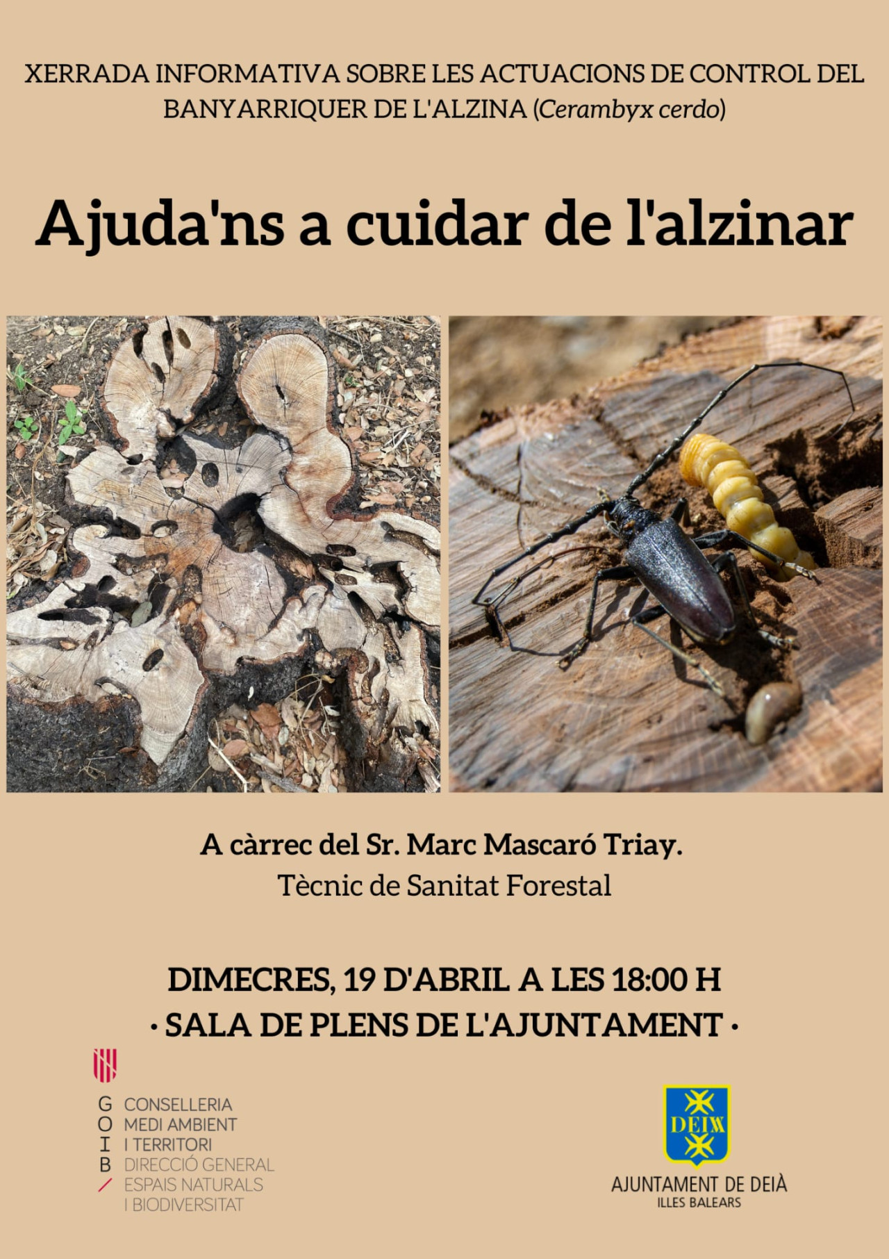 XERRADA SOBRE EL BANYARRIQUER