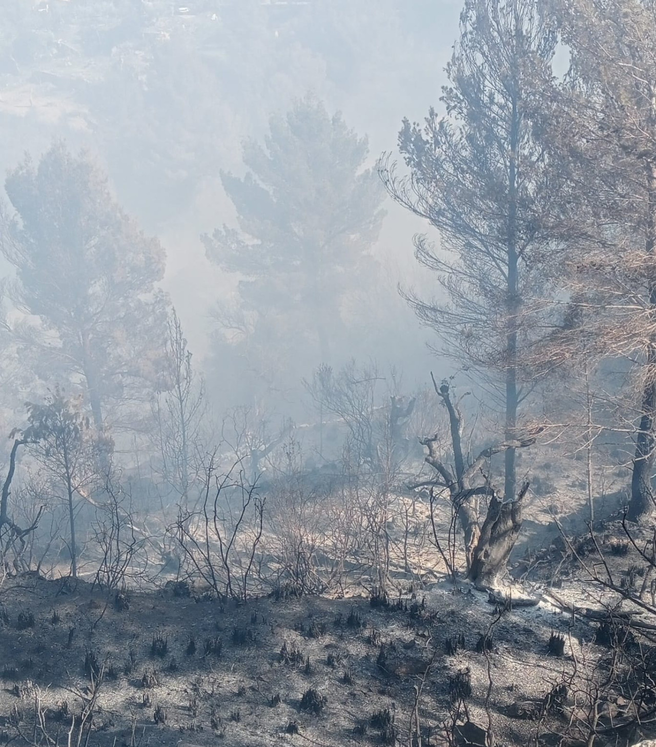 incendi