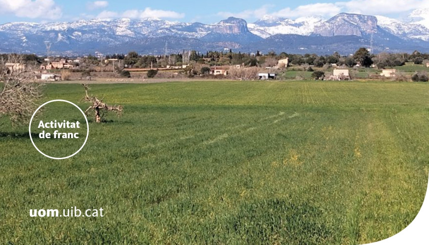 UOM a Mallorca 2025