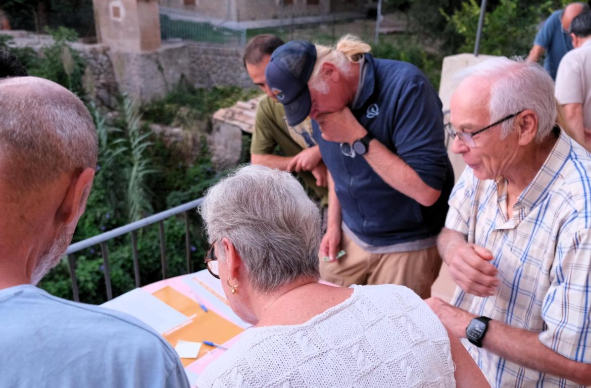 Diagnòstic i Desenvolupament deià
